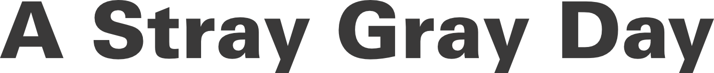 A Stray Gray Day. This is a headline for a poem about a boy's decision to not wear black one day but gray.